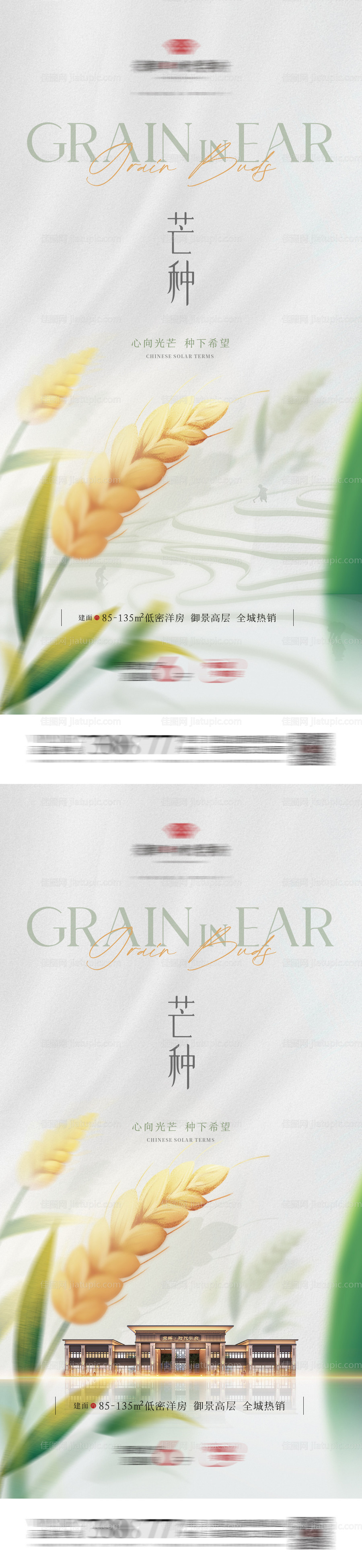 地产芒种谷物节气系列-源文件