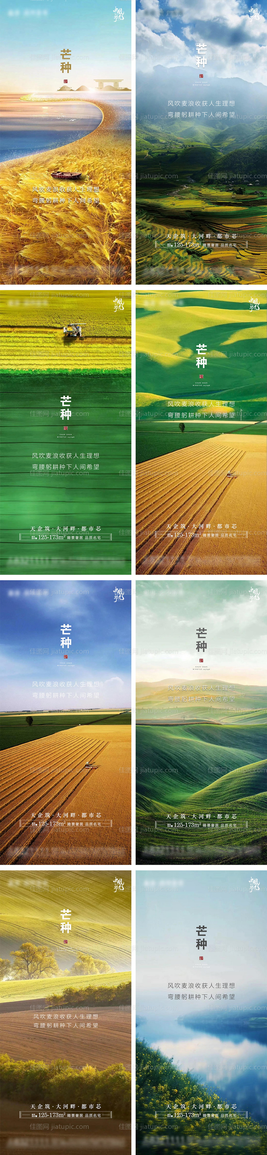 芒种节气海报系列-源文件