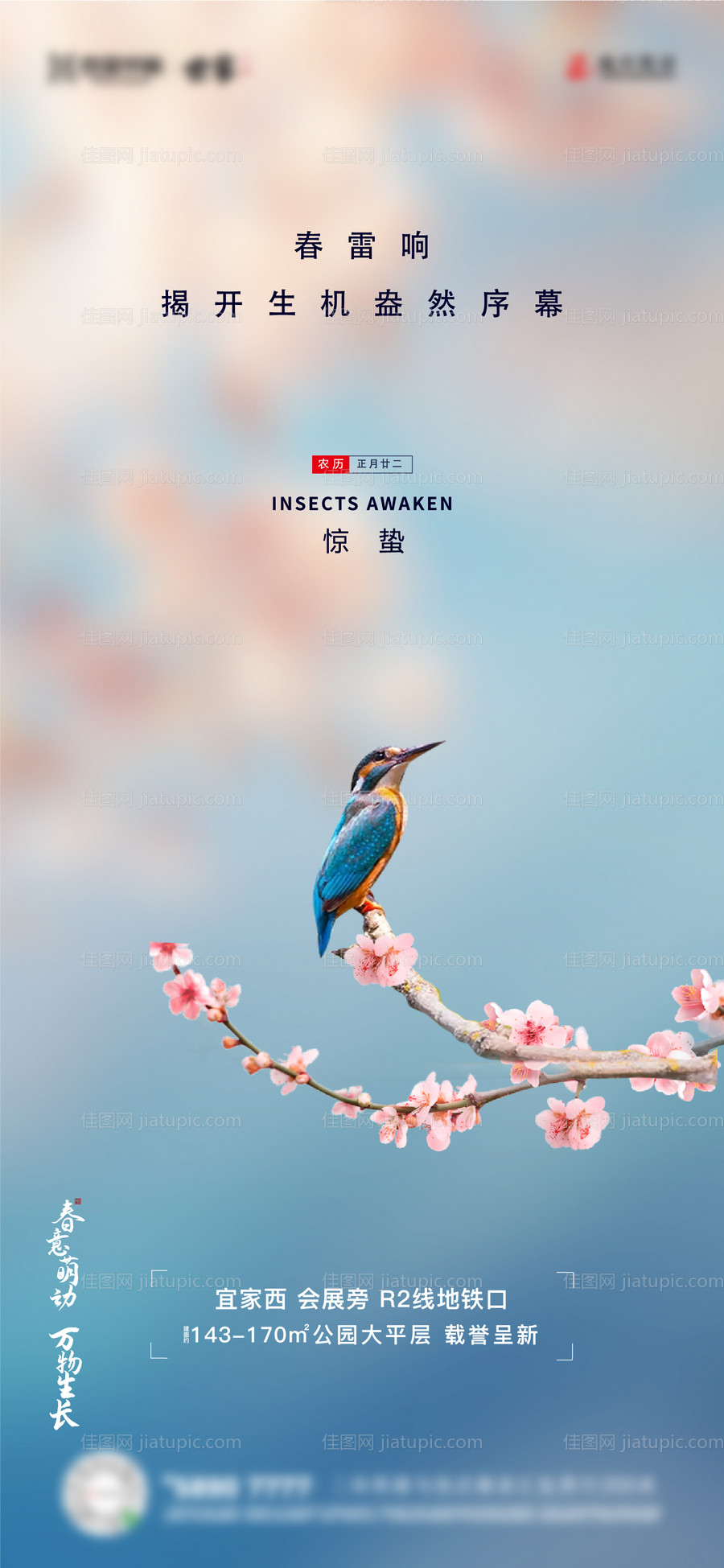 地产惊蛰节气海报-源文件
