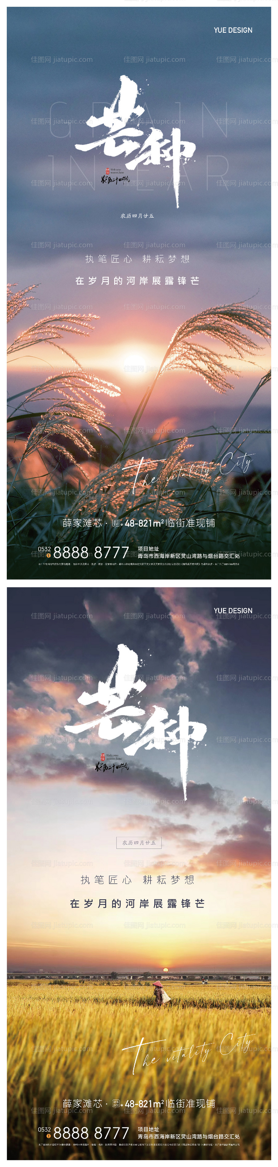 芒种海报-源文件