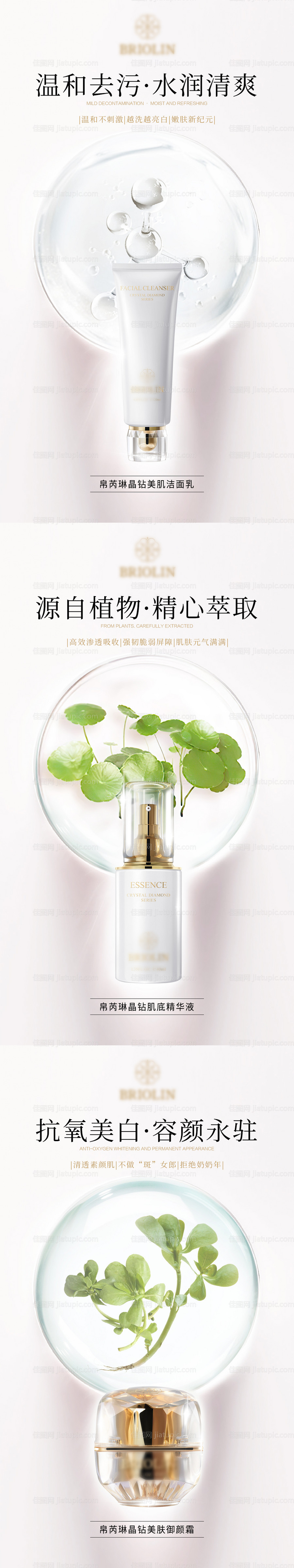 植物轻奢护肤品海报-源文件