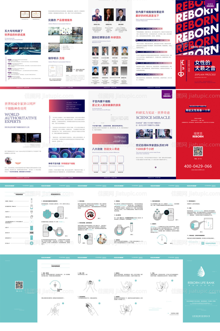 风琴5折页 -源文件