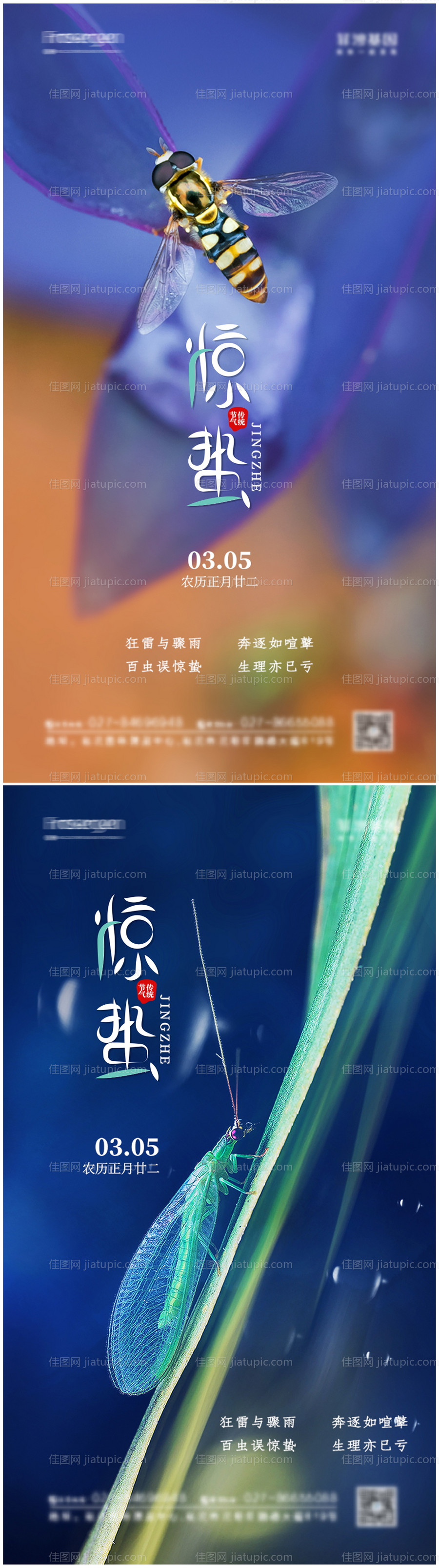 惊蛰节气海报-源文件