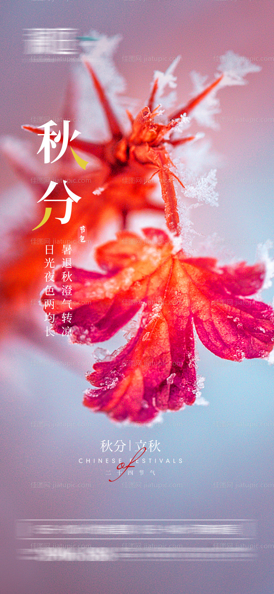 秋分节气海报-源文件