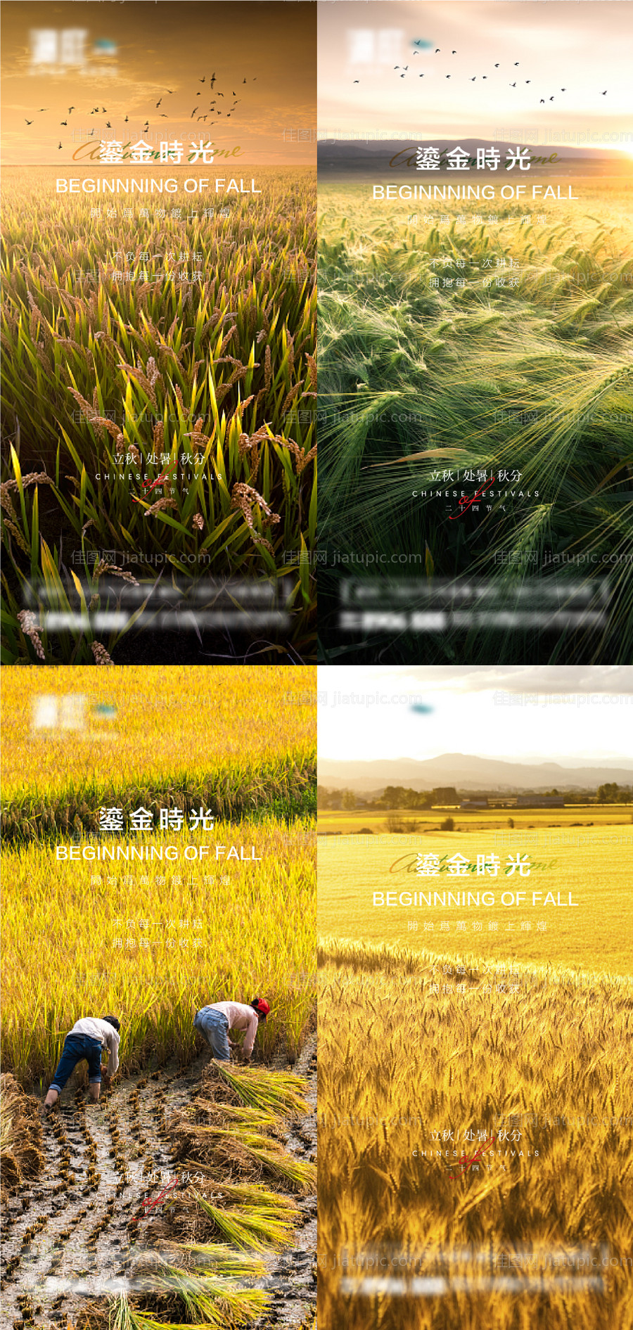 立秋处暑秋分节气海报-源文件