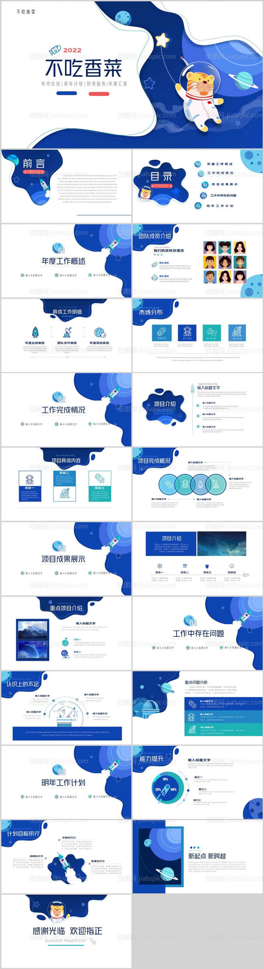 蓝色太空虎年年终总结新年计划PPT-源文件