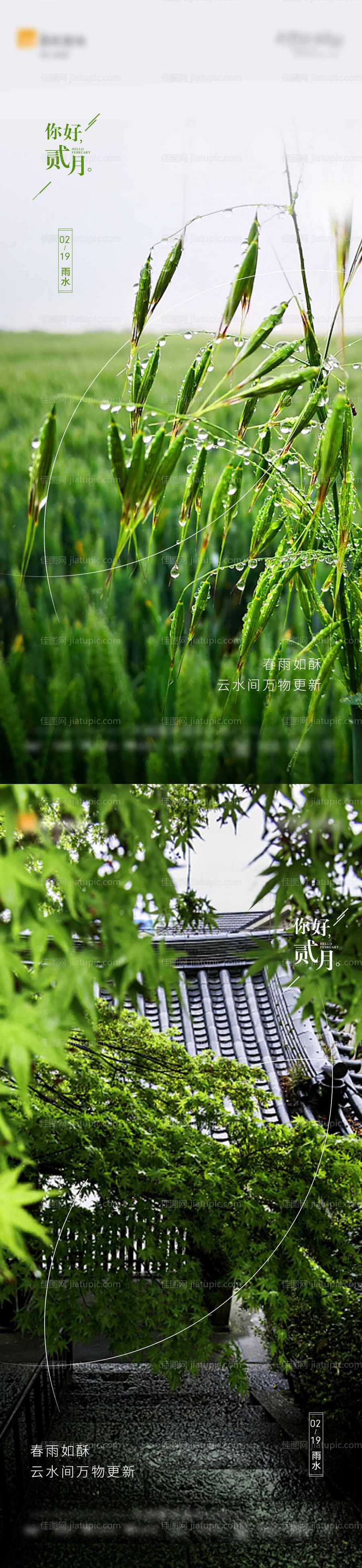 雨水节气地产海报-源文件
