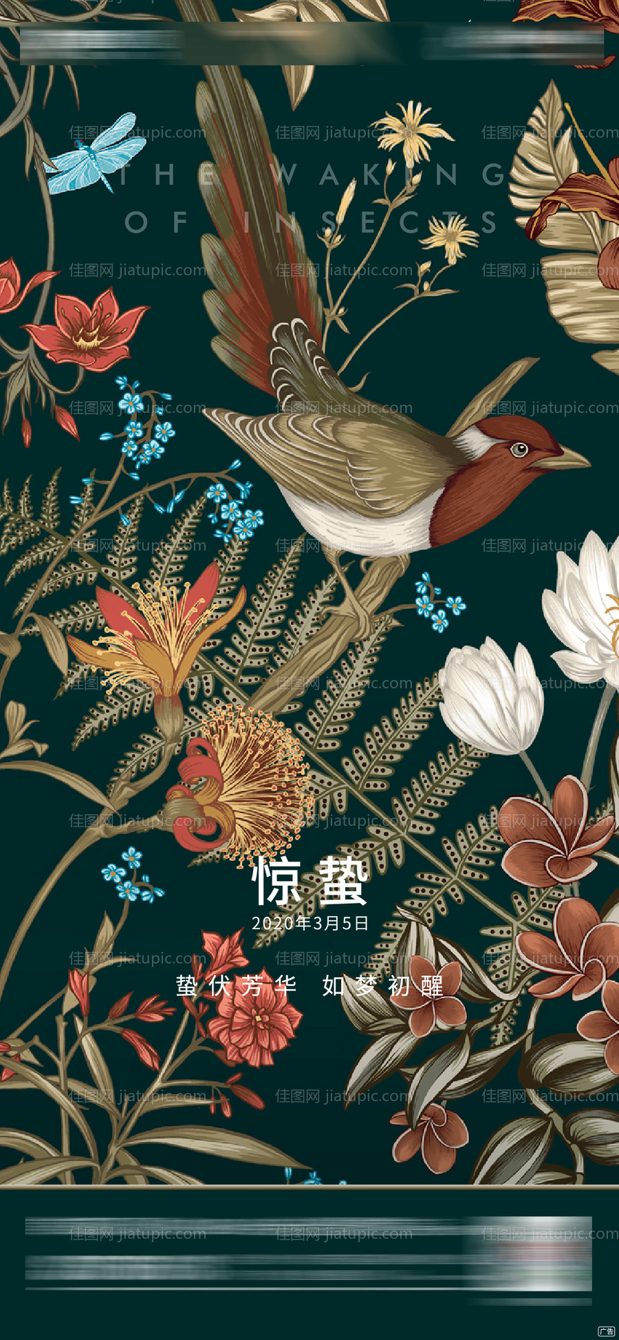 惊蛰节气微信海报-源文件