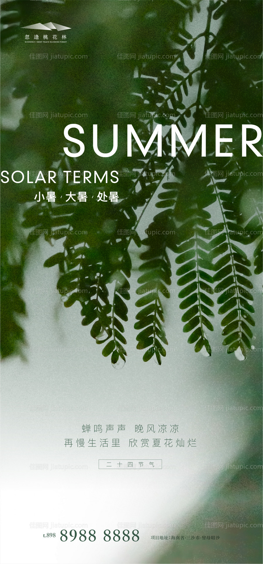 小暑大暑处暑-源文件