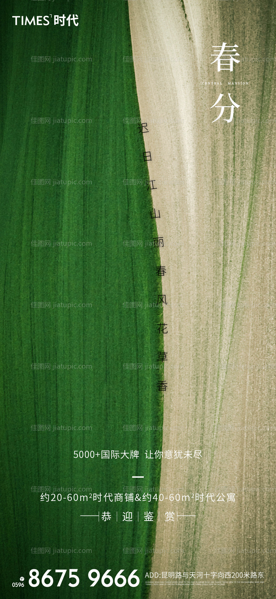 春分节气海报-源文件