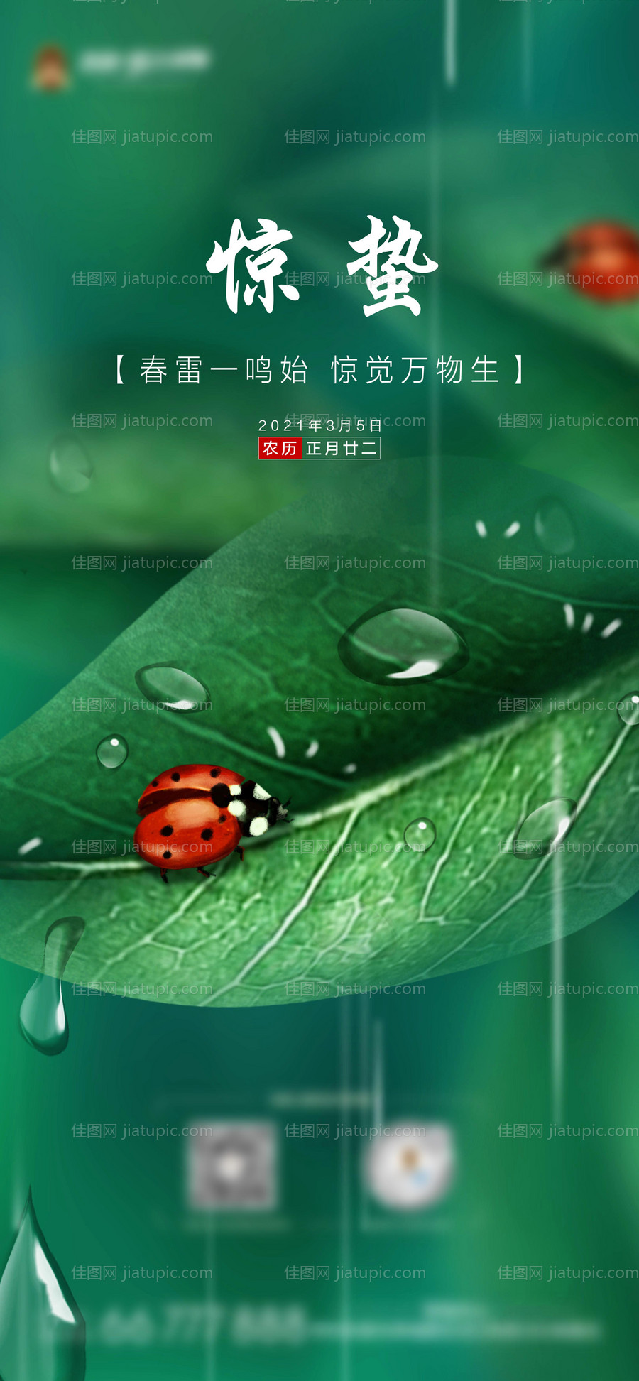 惊蛰海报-源文件