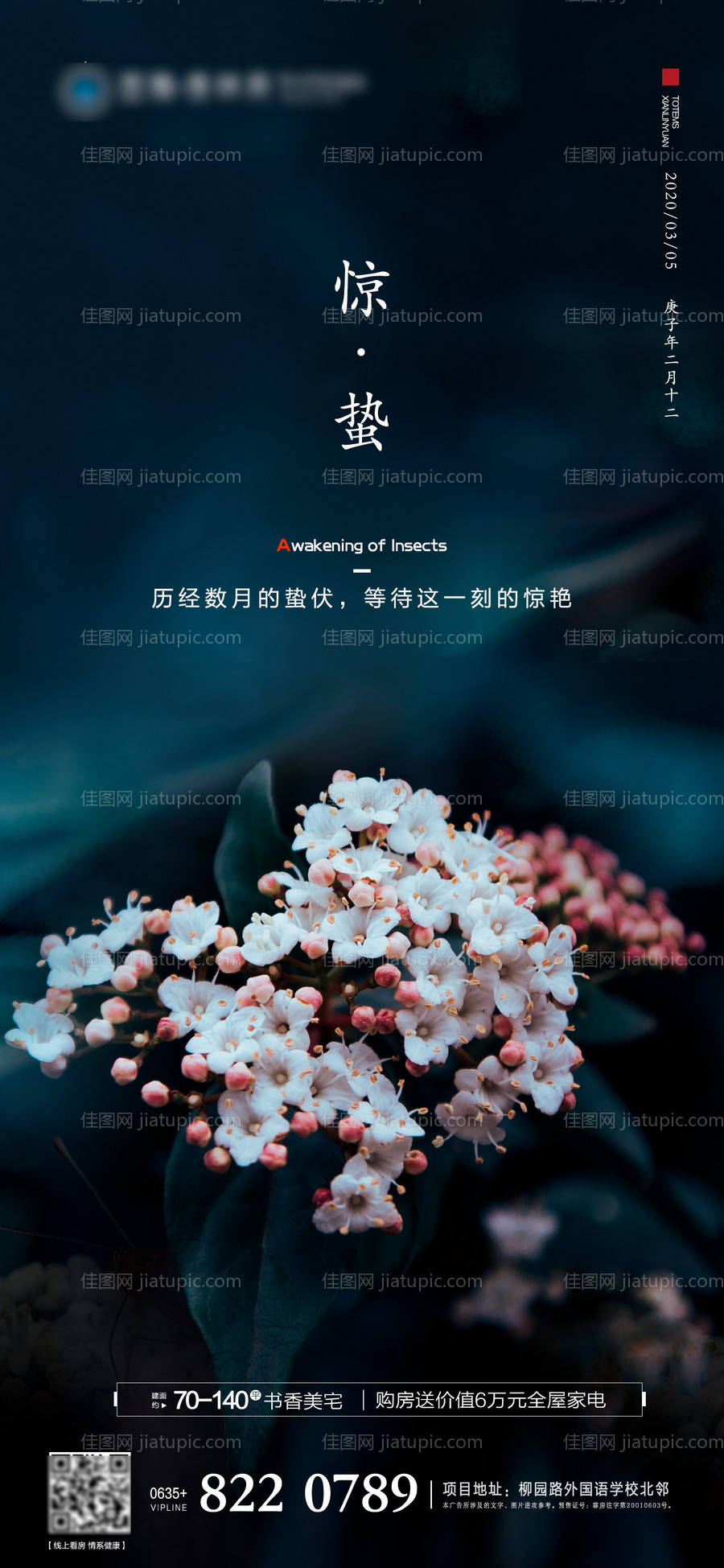 惊蛰二十四节气移动端海报-源文件