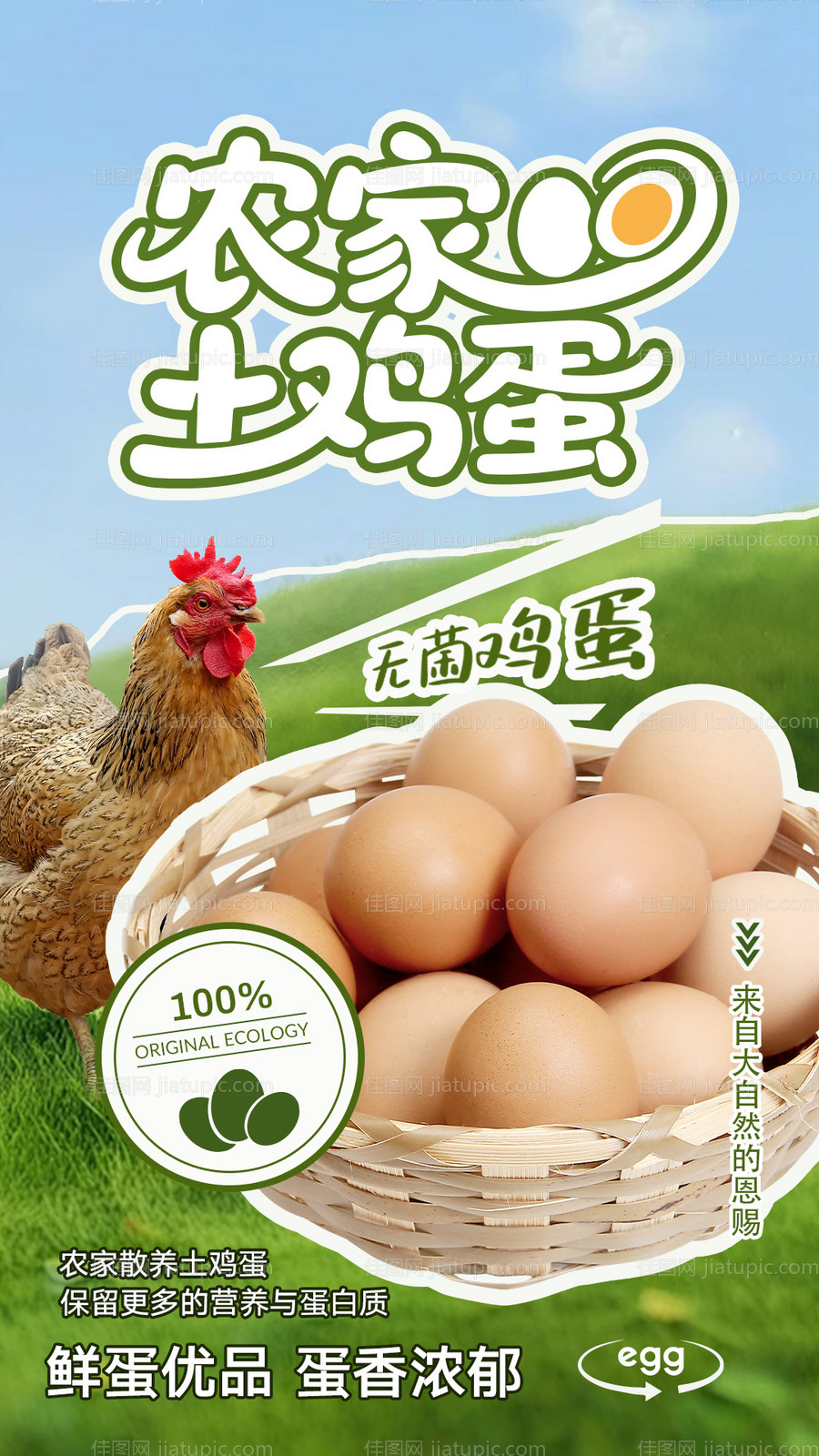 农家土鸡蛋宣传海报-源文件
