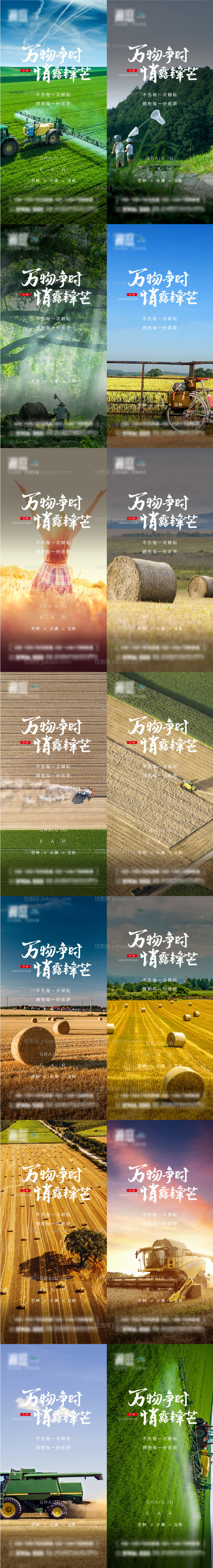 芒种小满立秋节气系列海报-源文件