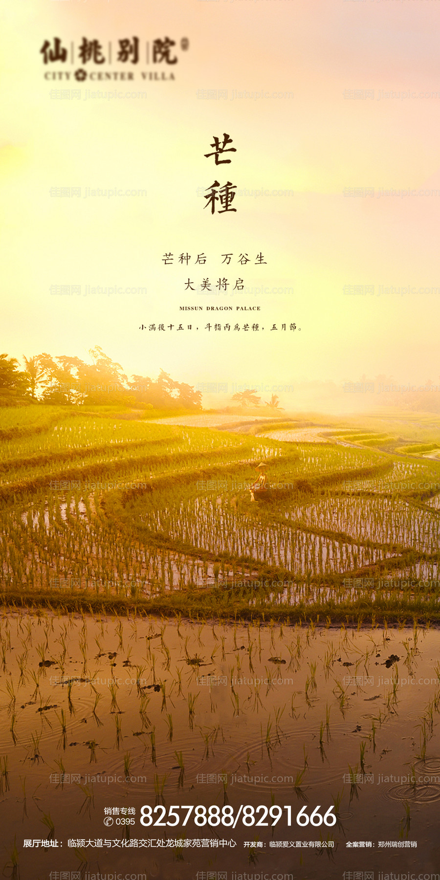 房地产芒种节气移动端海报-源文件