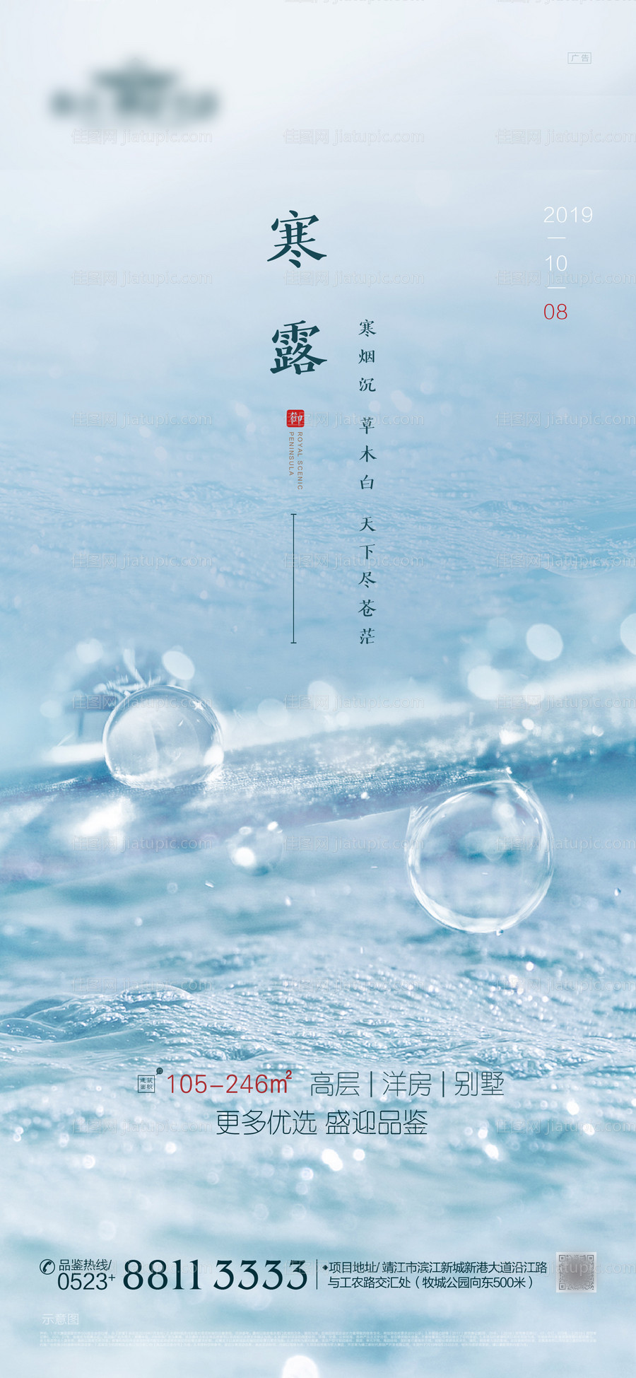 寒露节气微信海报-源文件