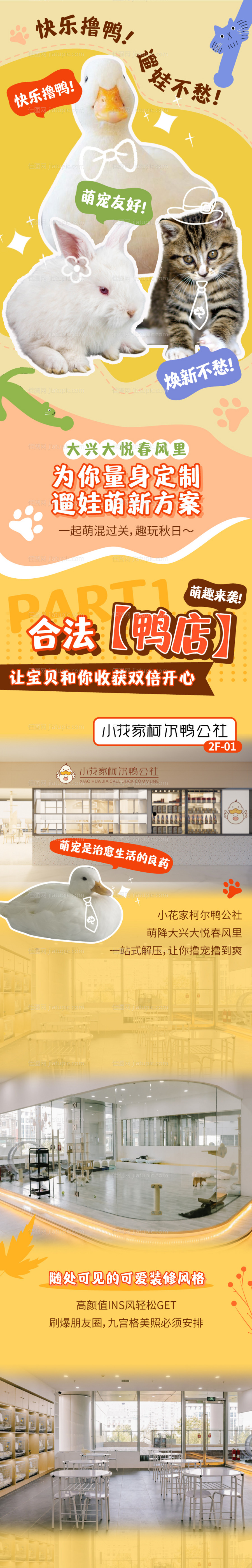 商业宠物可爱长图海报-源文件