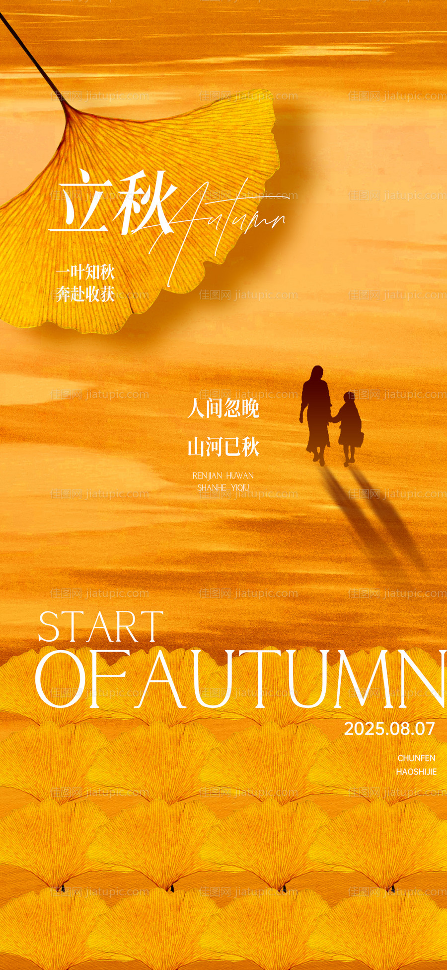 立秋银杏叶剪影场景微单-源文件