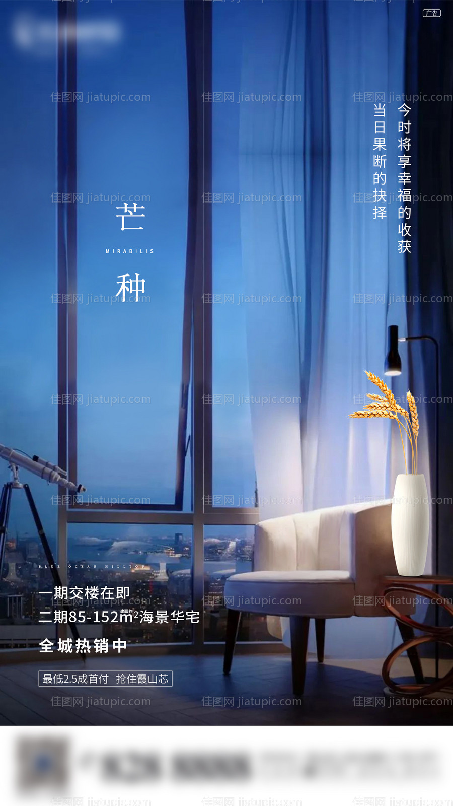 芒种节气-源文件