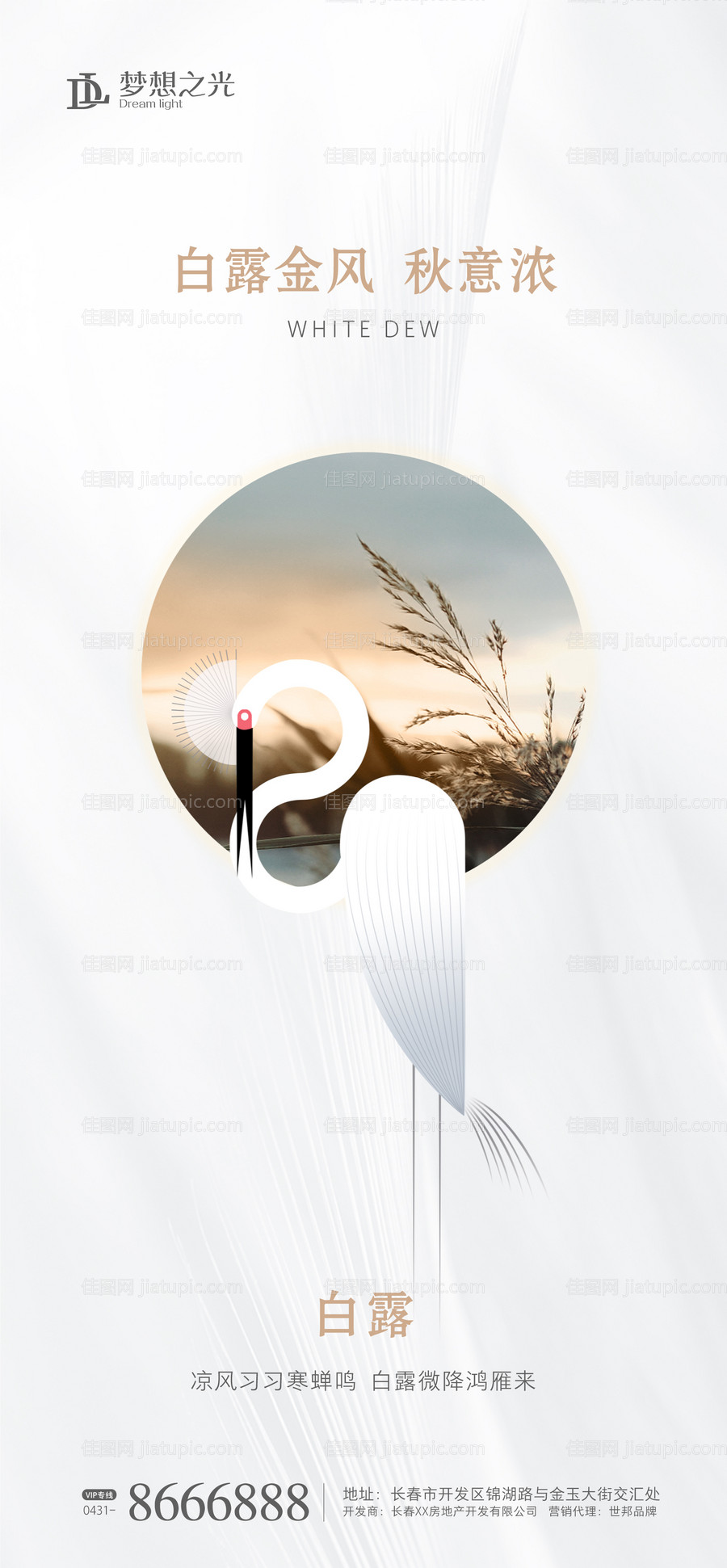 二十四节气白露海报-源文件