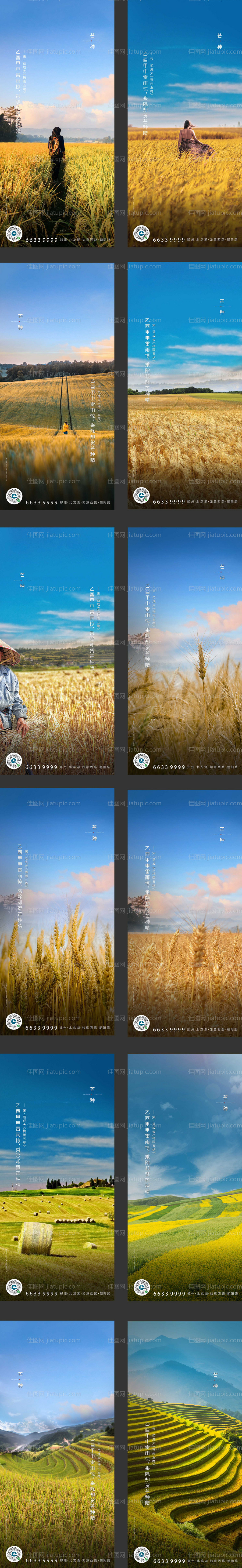 芒种节气系列移动端海报-源文件
