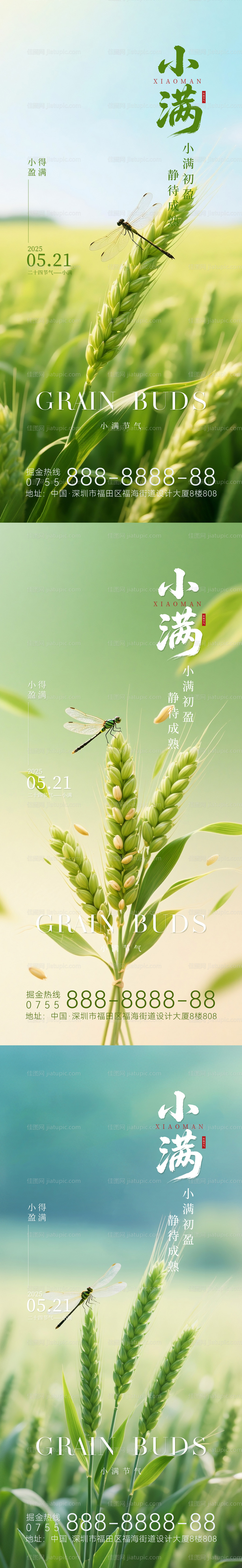 小满节气系列海报-源文件