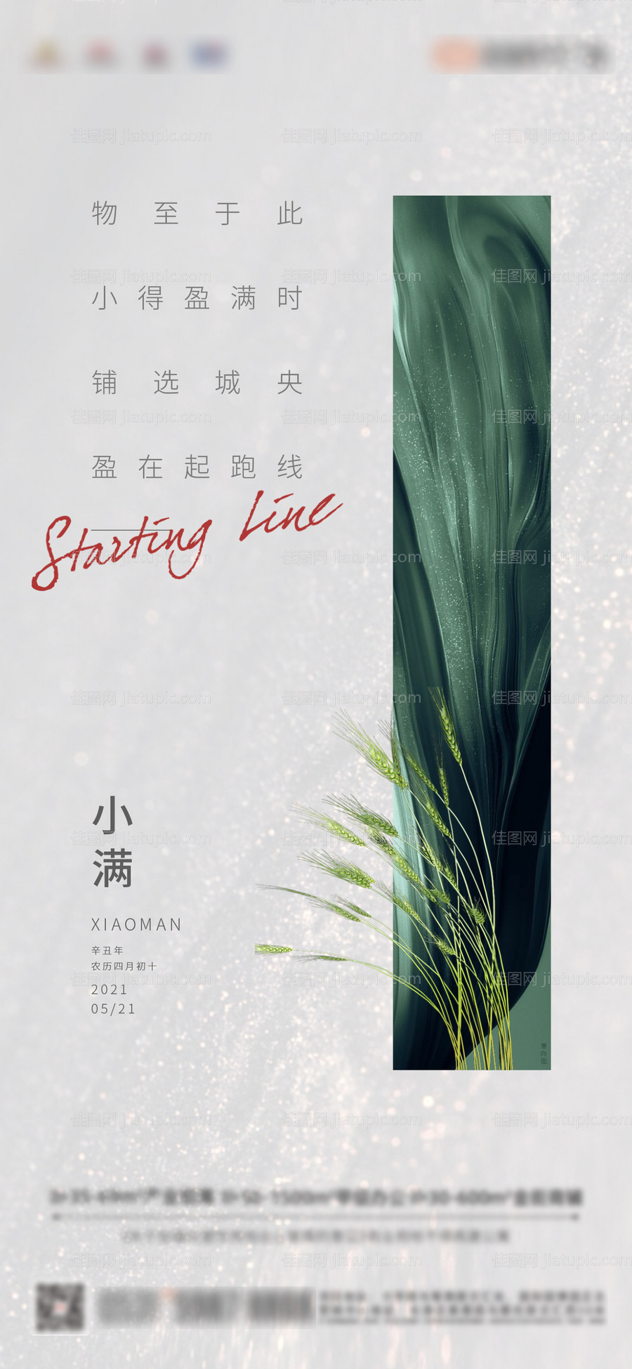 地产小满节气海报-源文件