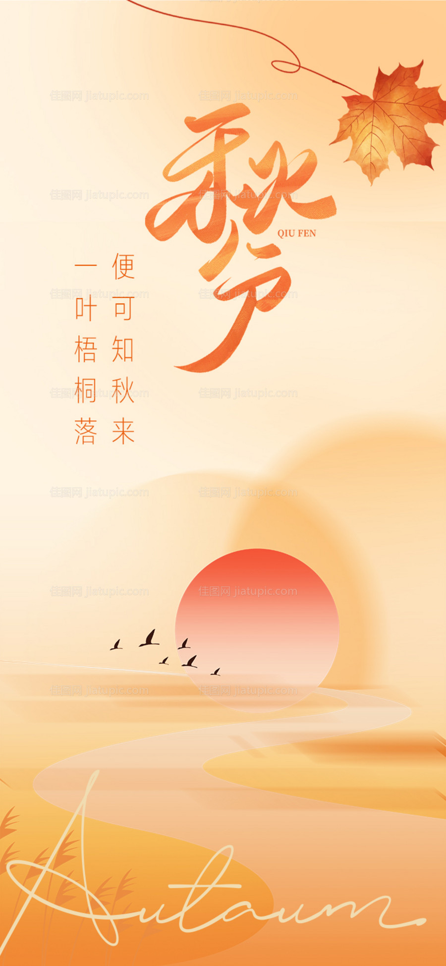 秋分节气海报-源文件