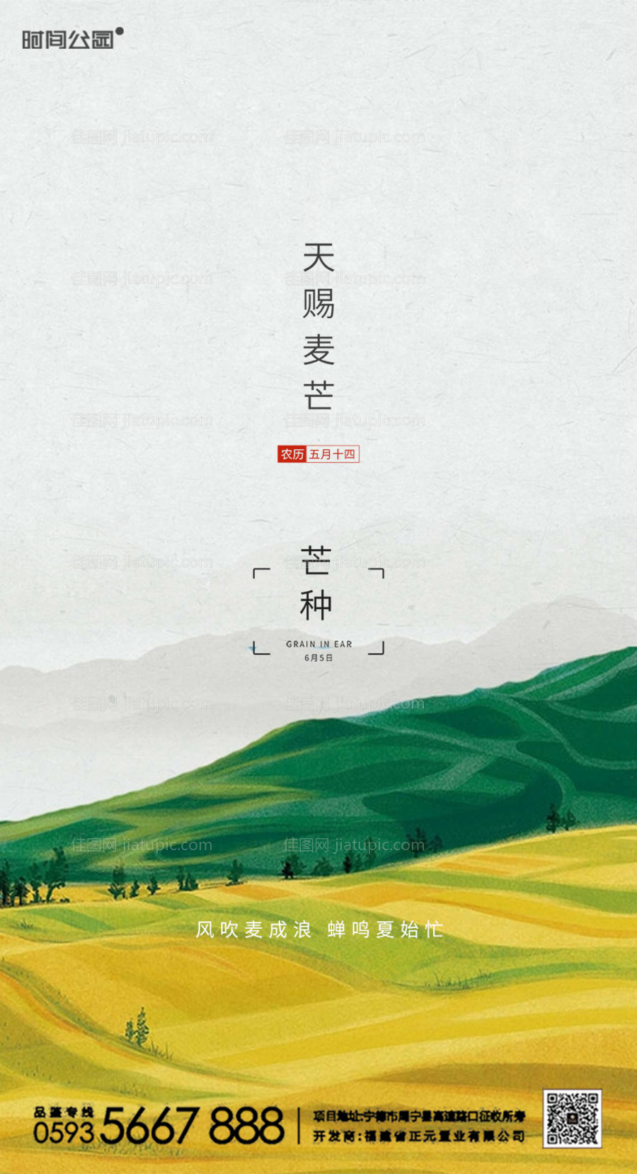 芒种海报-源文件