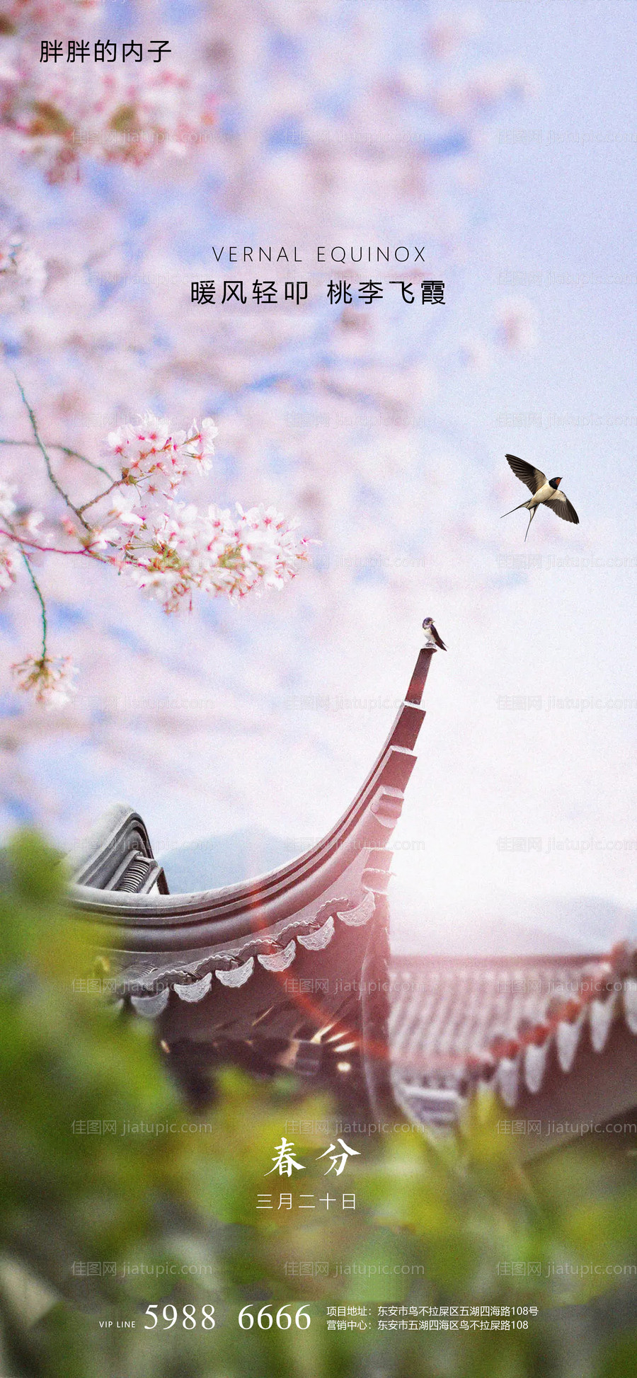 中式春分节气海报-源文件