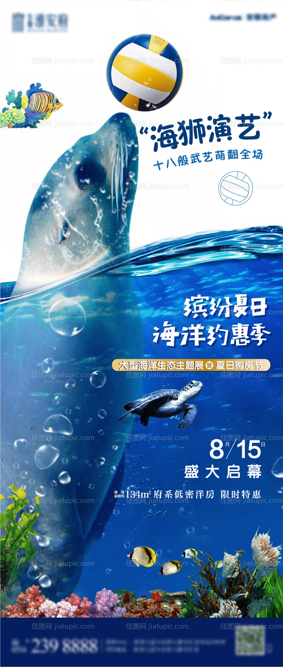 海狮表演活动海报-源文件