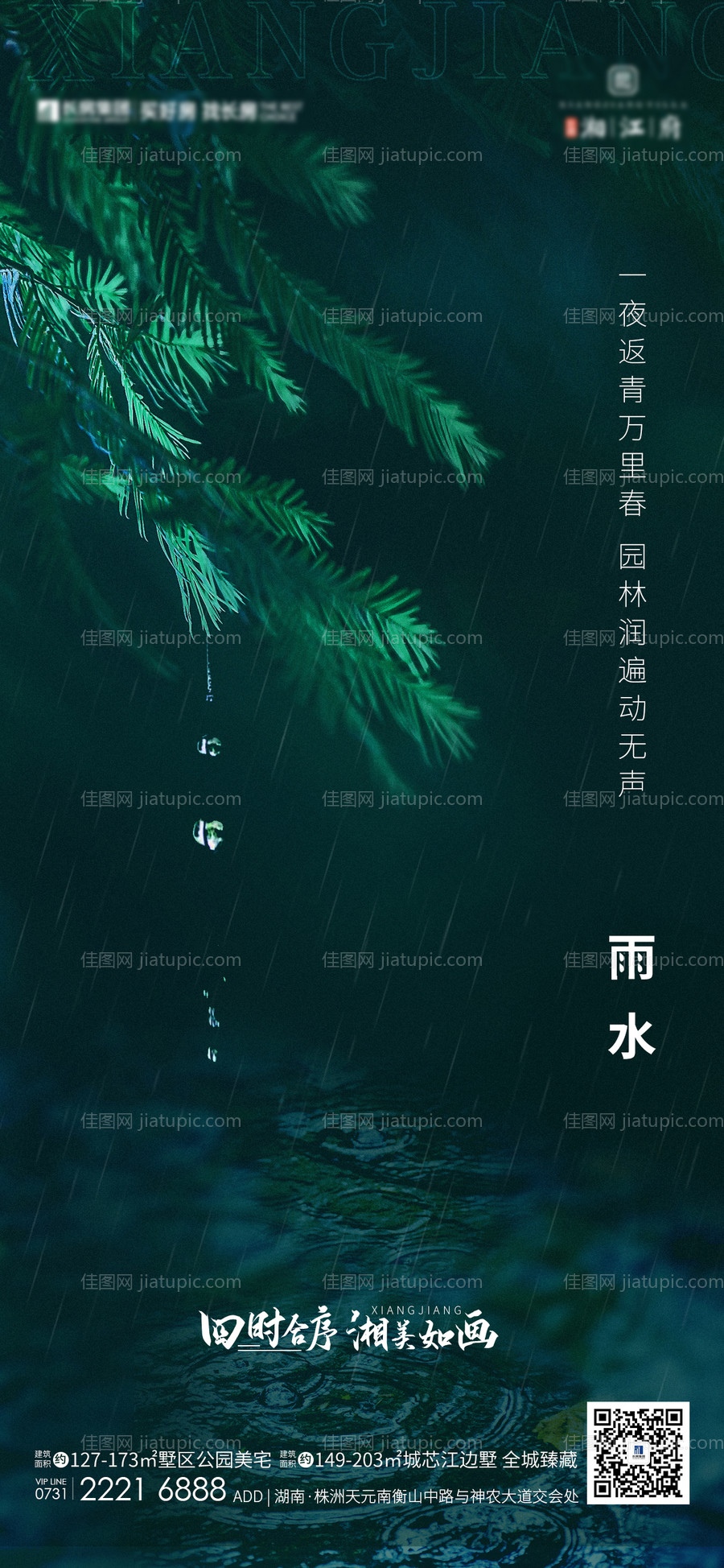 雨水节气移动端海报-源文件