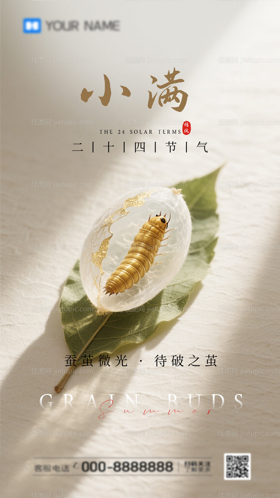 二十四节气小满海报-源文件