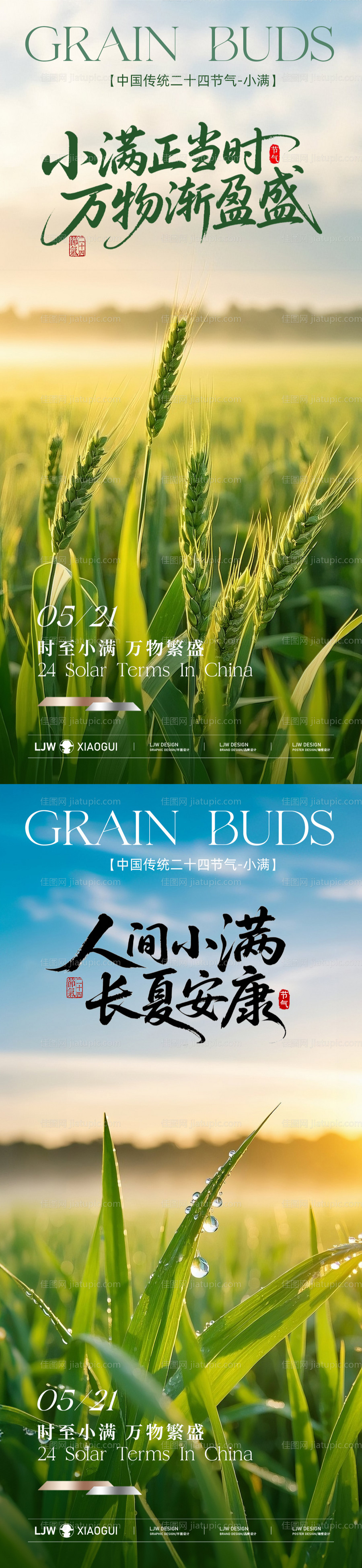 地产小满节气海报-源文件