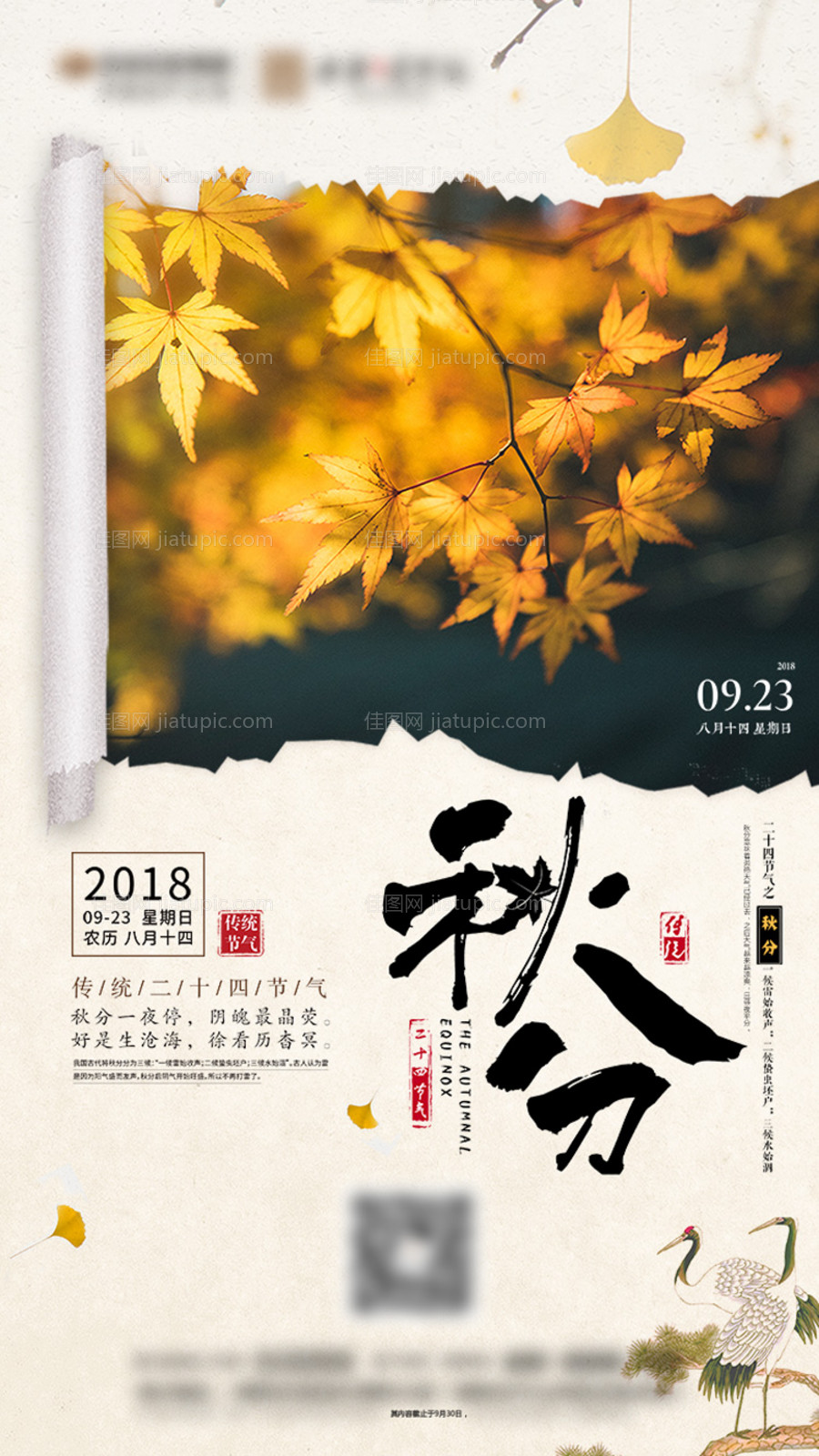 秋分节气移动端海报-源文件