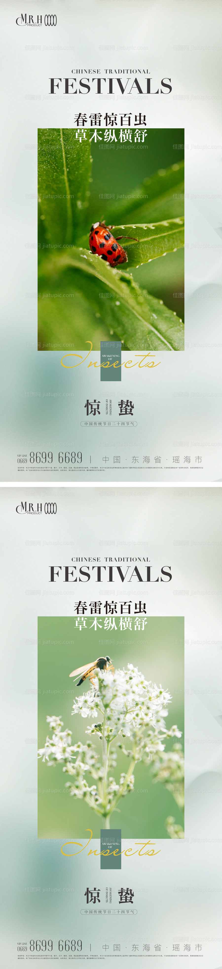 惊蛰节气海报简约-源文件