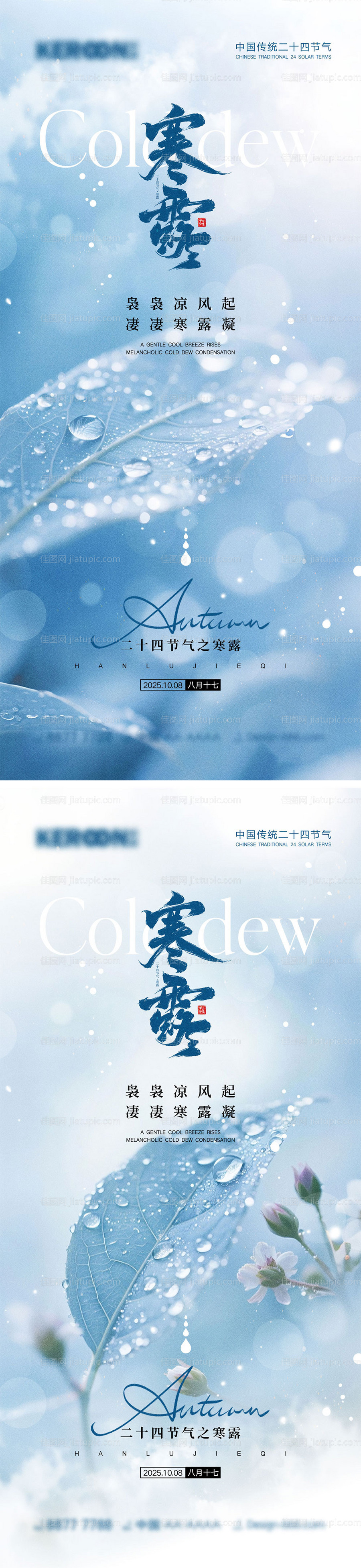 寒露节气海报-源文件