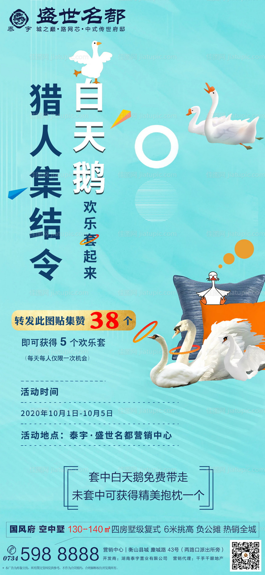 白天鹅活动-源文件