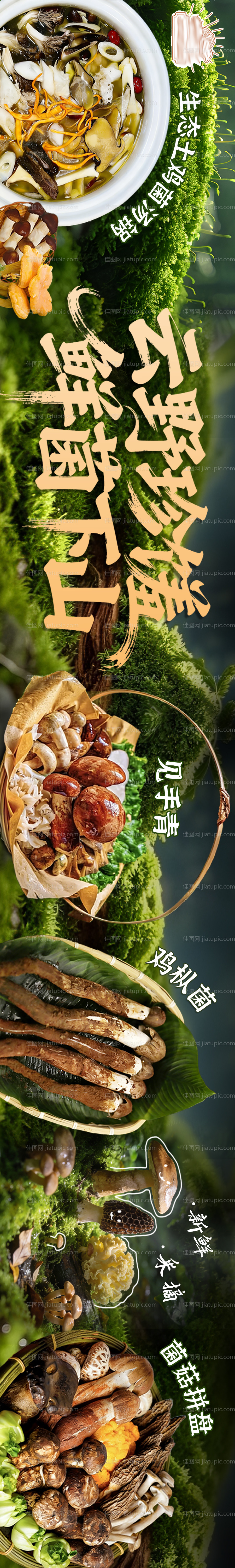 菌菇五连图菜品图-源文件