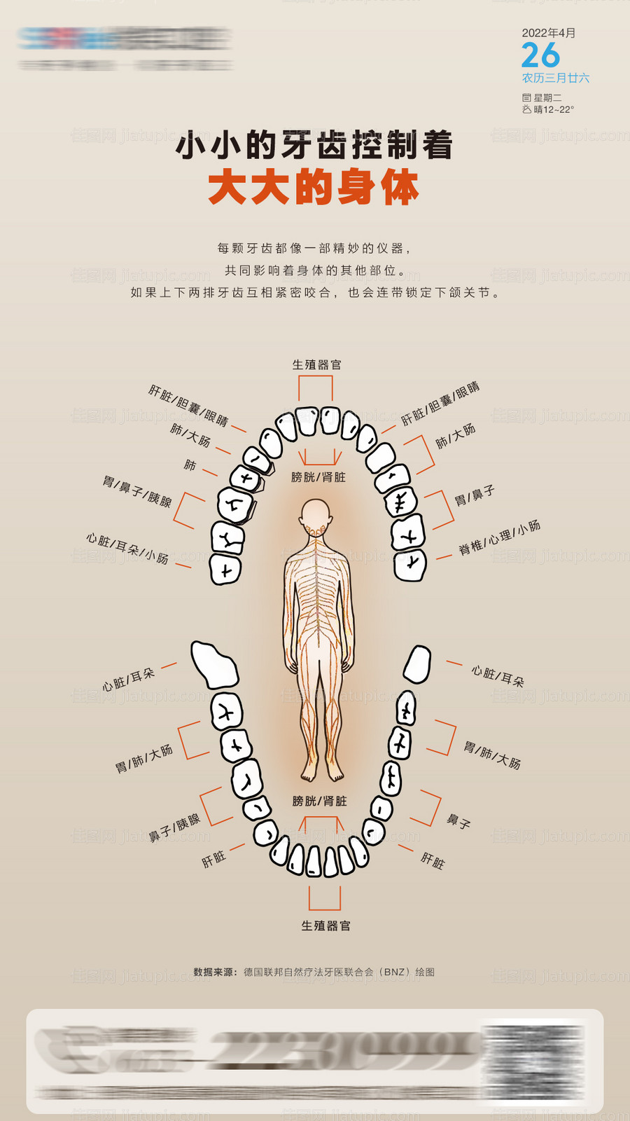 医美口腔插画海报-源文件