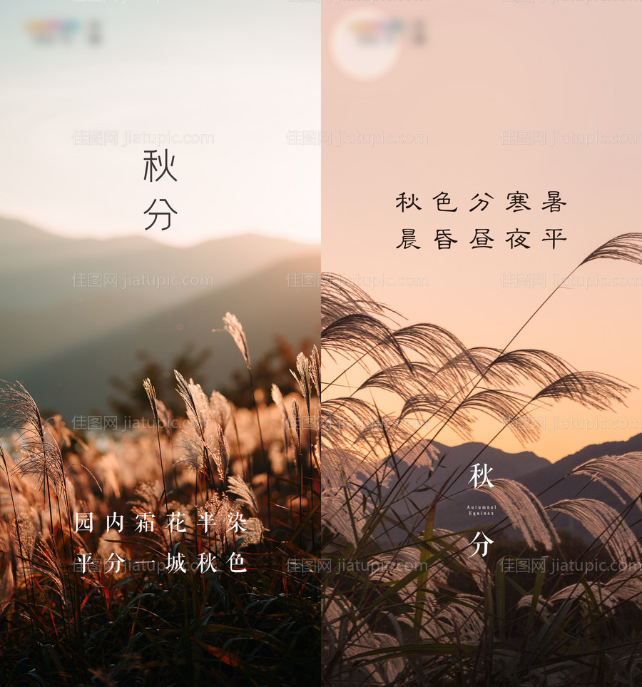 秋分节日海报-源文件