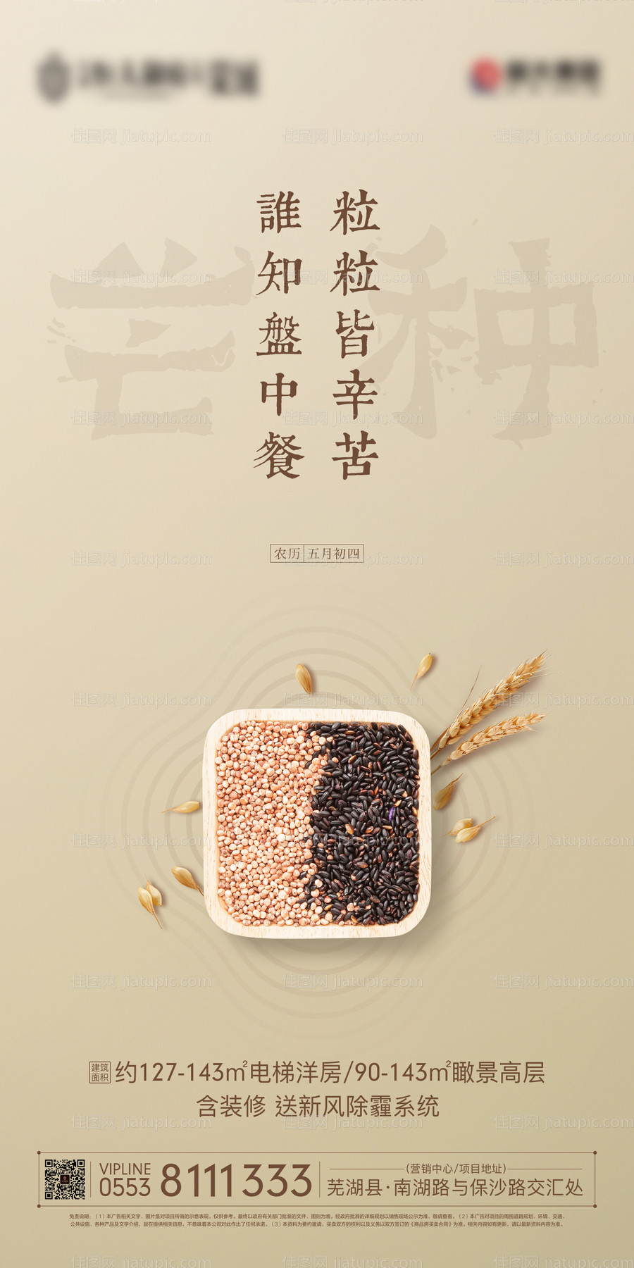 芒种节气海报-源文件