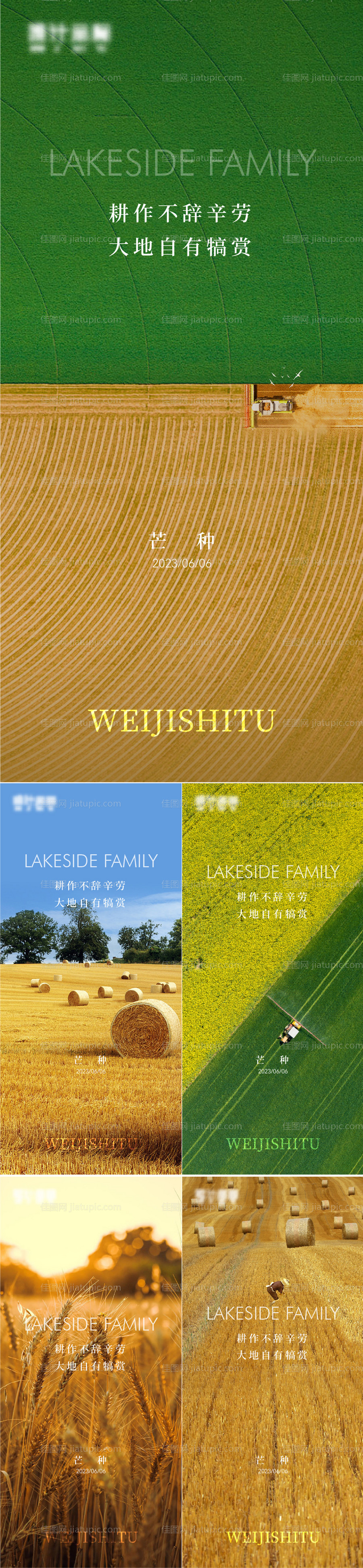 芒种海报-源文件