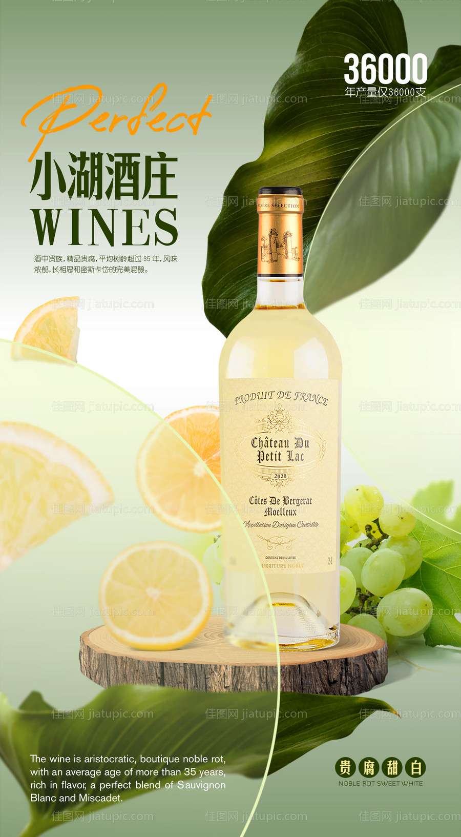 葡萄酒海报-源文件