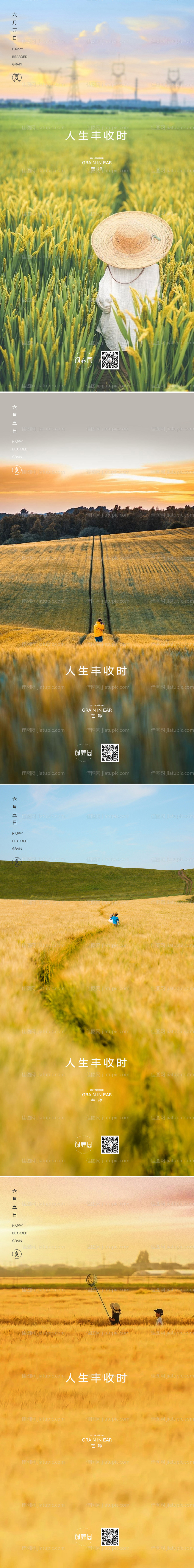芒种节气系列海报-源文件