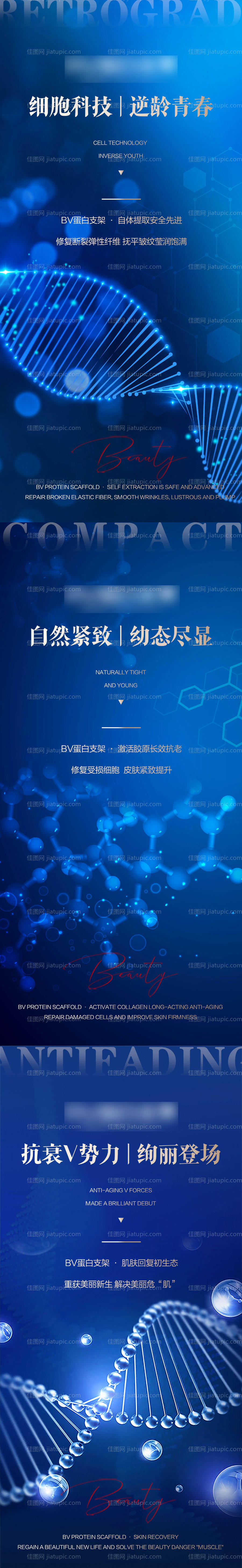 Bv蛋白支架科技系列海报-源文件