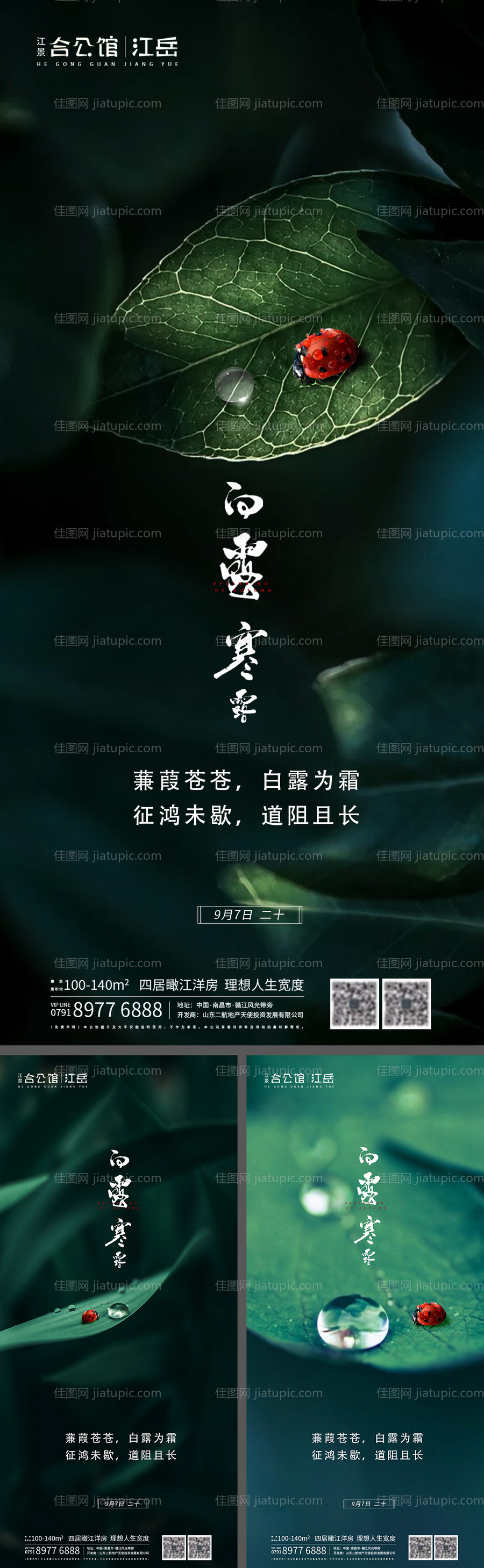 地产二十四节气白露寒露系列海报-源文件