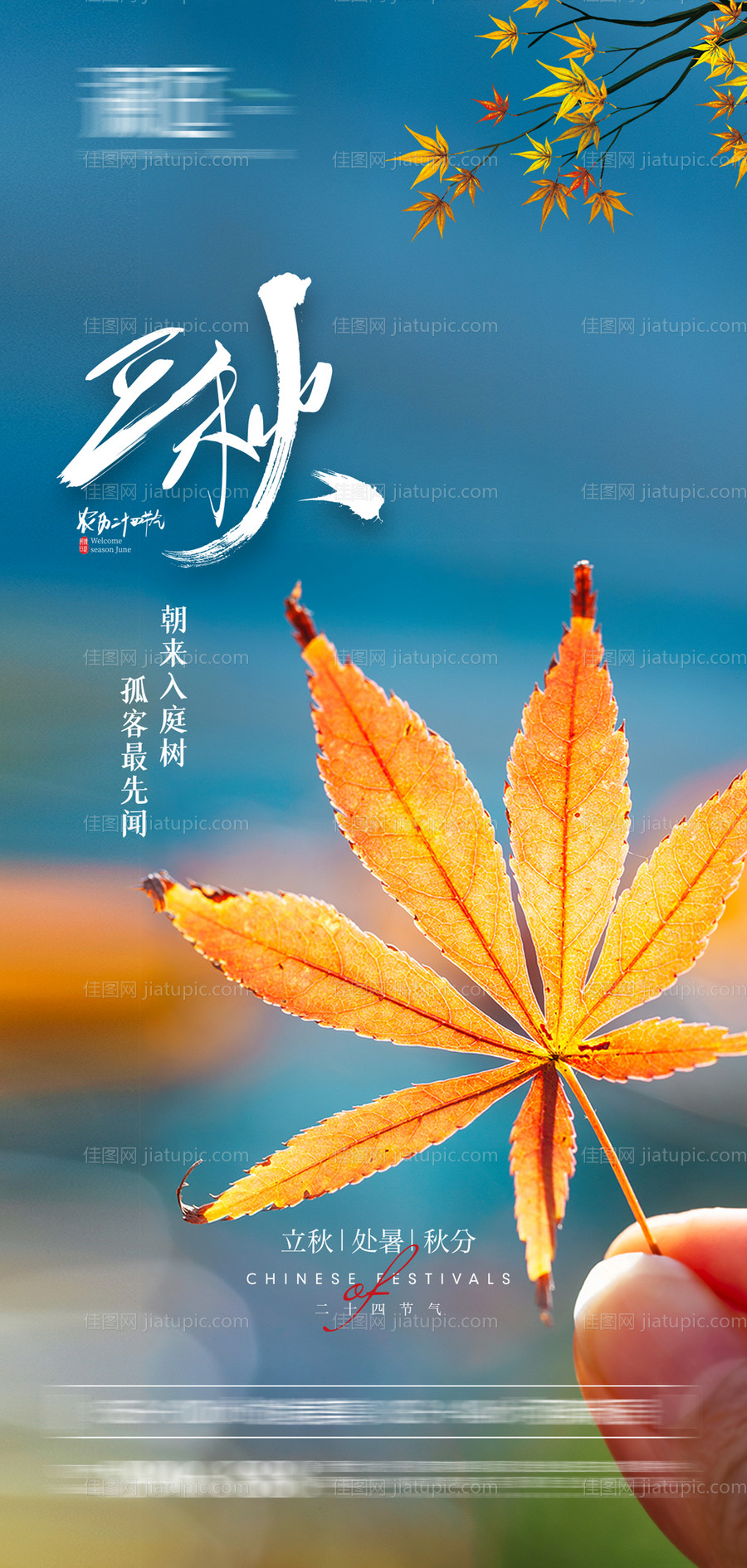 立秋处暑秋分节气海报-源文件