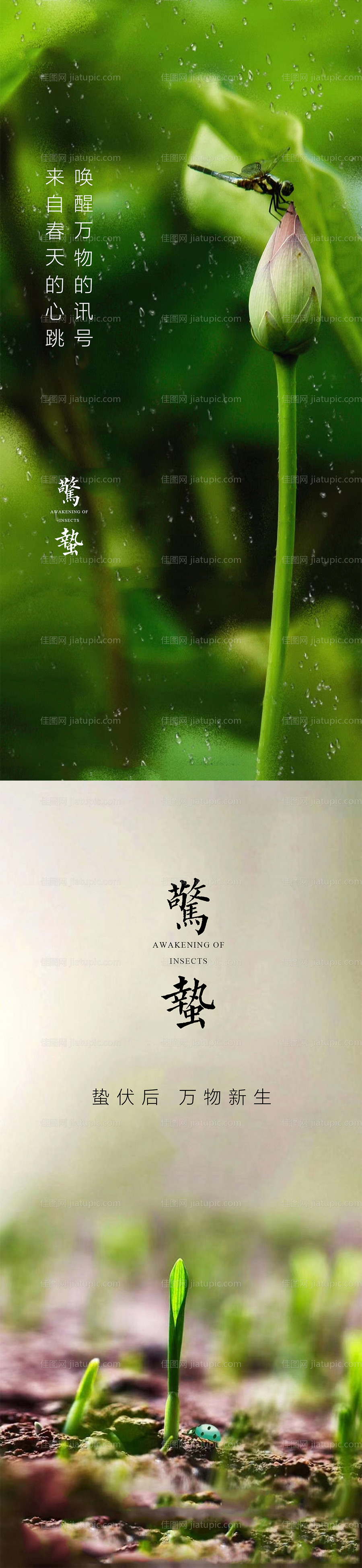 惊蛰节气海报-源文件