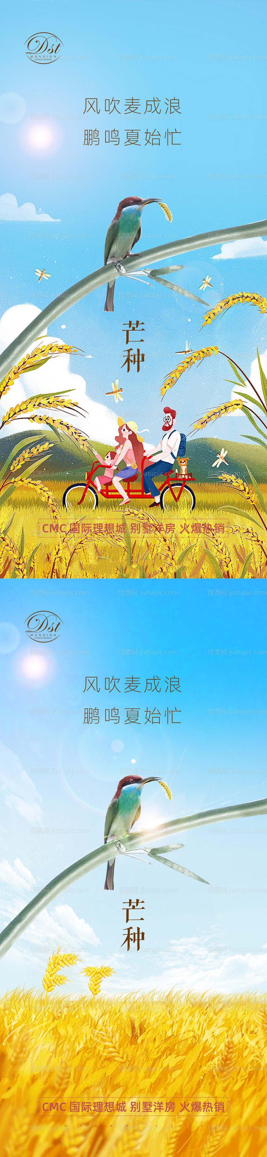 芒种节气海报-源文件